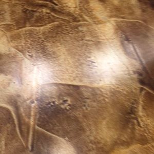 Meet your Posher, Donald